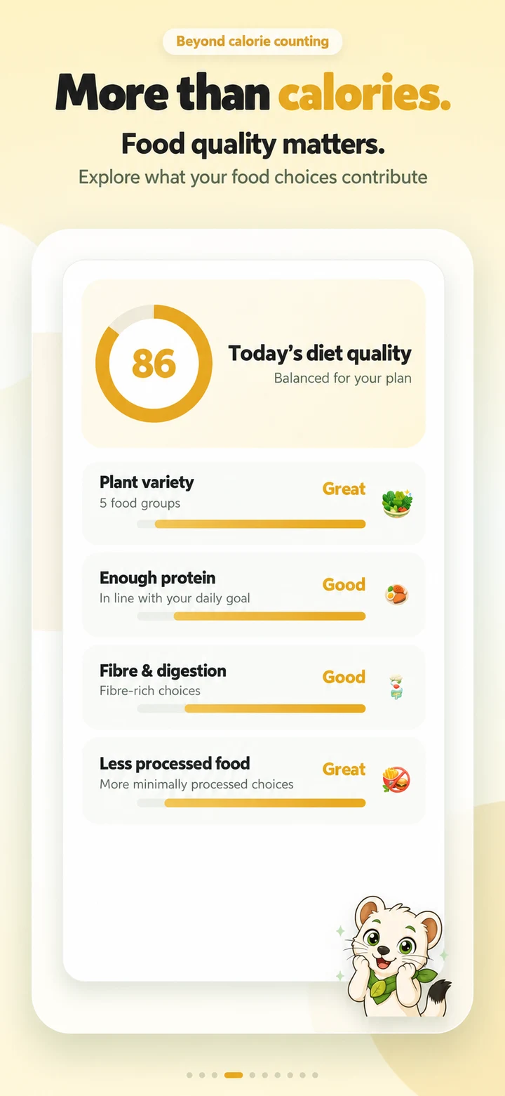 Illustrated preview: Food patterns